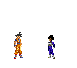 Vegeta & Goku fighting