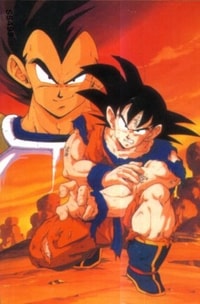 Combattimento Goku E Vegeta