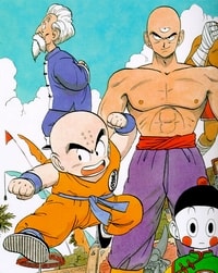 Dragon Ball Torneo Di Arti Marziali