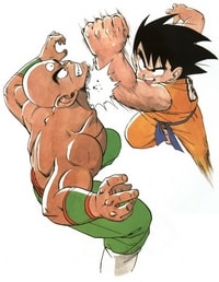 Goku Contro Tenshinhan