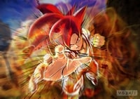 Goku Battle