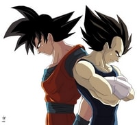 Goku And Vegeta