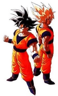 Goku E Goku Ssj