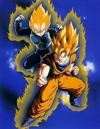 Goku E Vegeta Fighters