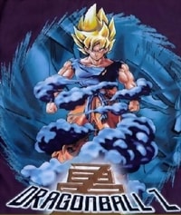 Goku Hero