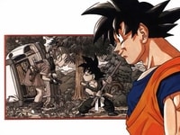 Ricordo Di Goku