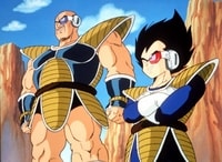 Vegeta Nappa