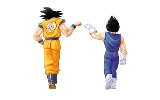 Goku & Vegeta Teamwork Wallpaper